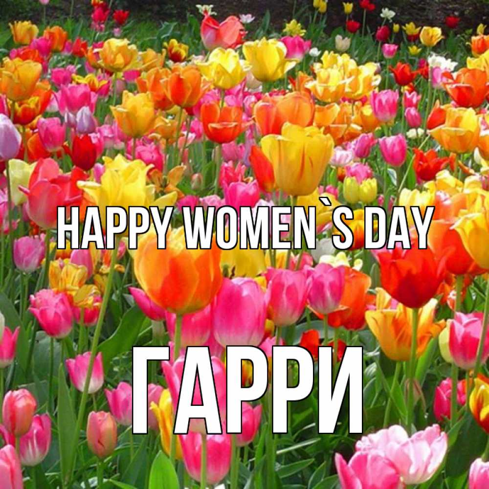 Greetings card с именем, Гарри happy women`s day на международный женский день Greetings with text for free download 
